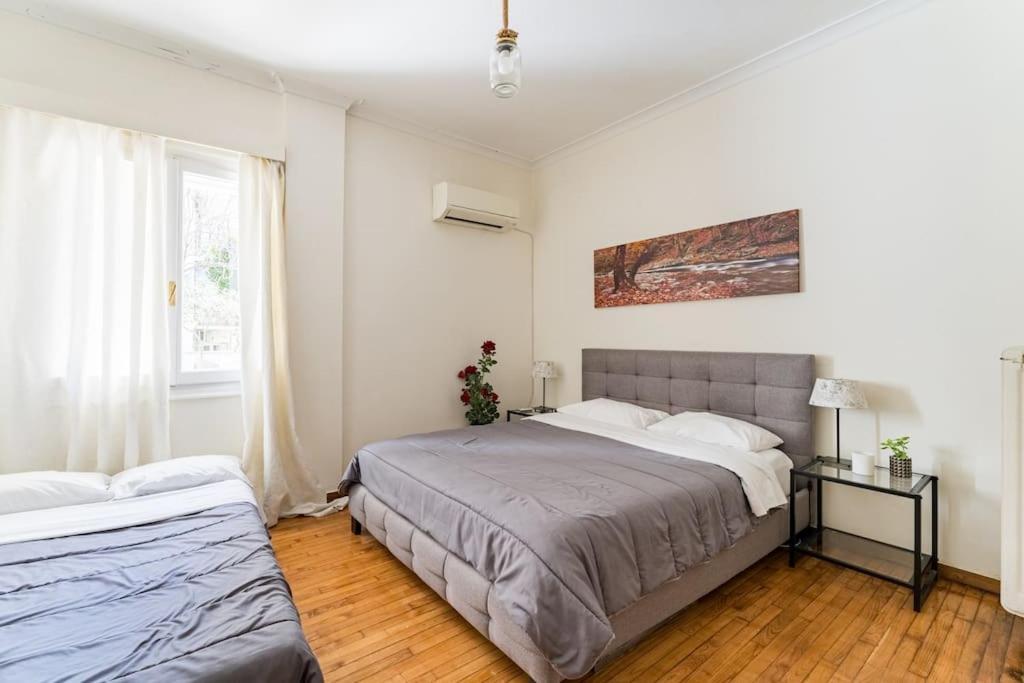 Amazing 3Bdr Apt With Unique Roof Garden In Plaka Athens Exterior photo