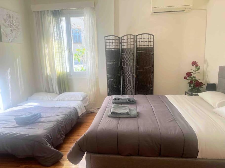Amazing 3Bdr Apt With Unique Roof Garden In Plaka Athens Exterior photo